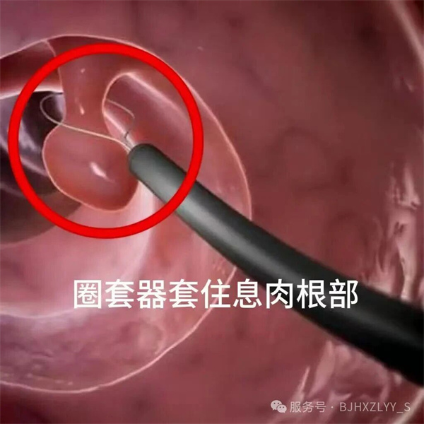 微信图片_2025-10-21_140318_930.jpg
