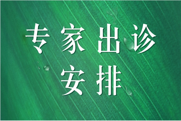 2021门诊排班9月