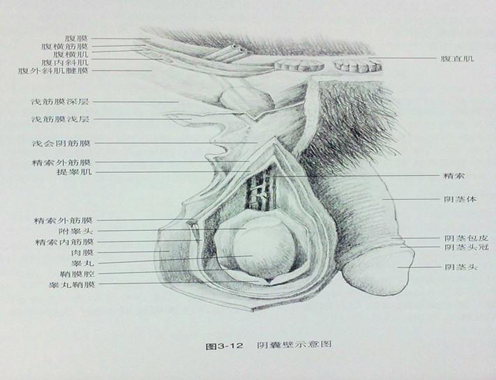 北京市朝阳区桓兴肿瘤医院欢迎您